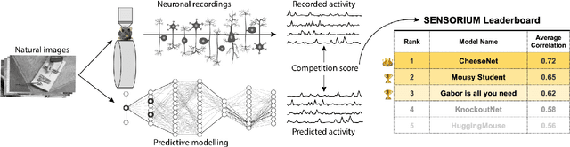 Figure 1 for The Sensorium competition on predicting large-scale mouse primary visual cortex activity