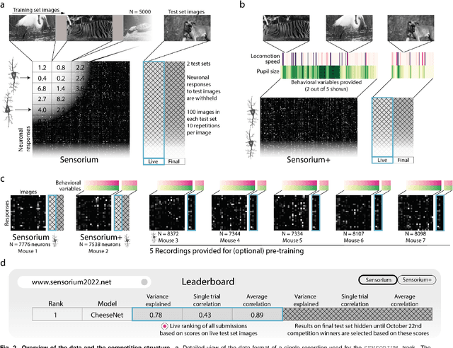 Figure 3 for The Sensorium competition on predicting large-scale mouse primary visual cortex activity