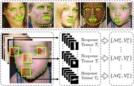 Figure 1 for Track Facial Points in Unconstrained Videos