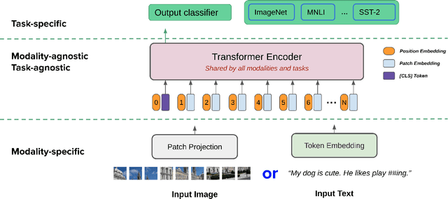 Figure 1 for Towards a Unified Foundation Model: Jointly Pre-Training Transformers on Unpaired Images and Text