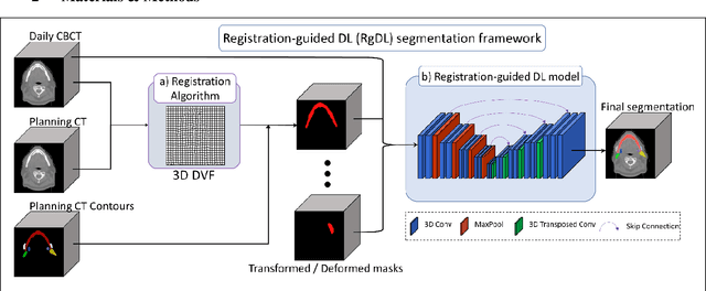 Figure 1 for Registration-Guided Deep Learning Image Segmentation for Cone Beam CT-based Online Adaptive Radiotherapy