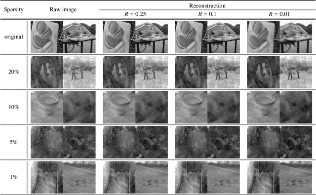 Figure 2 for LSHR-Net: a hardware-friendly solution for high-resolution computational imaging using a mixed-weights neural network