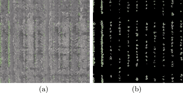 Figure 4 for Estimating Phenotypic Traits From UAV Based RGB Imagery