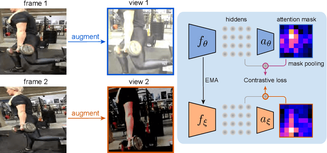 Figure 3 for Self-supervised video pretraining yields strong image representations