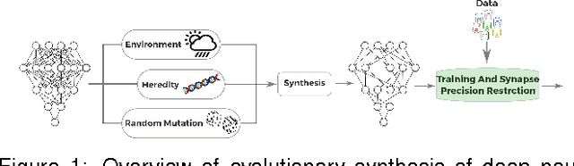 Figure 1 for Exploring the Imposition of Synaptic Precision Restrictions For Evolutionary Synthesis of Deep Neural Networks