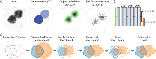 Figure 1 for Star-convex Polyhedra for 3D Object Detection and Segmentation in Microscopy