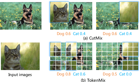Figure 1 for TokenMix: Rethinking Image Mixing for Data Augmentation in Vision Transformers