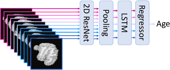 Figure 2 for Brain Age Estimation Using LSTM on Children's Brain MRI