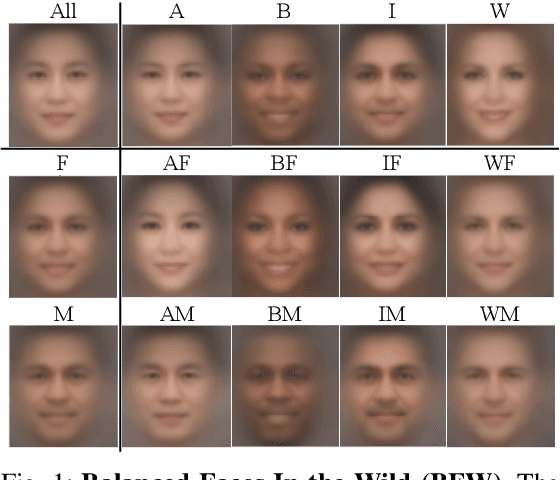 Figure 1 for Face Recognition: Too Bias, or Not Too Bias?
