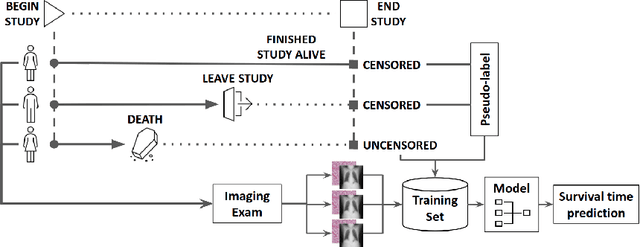 Figure 1 for Censor-aware Semi-supervised Learning for Survival Time Prediction from Medical Images