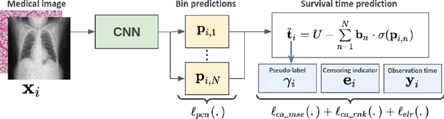 Figure 3 for Censor-aware Semi-supervised Learning for Survival Time Prediction from Medical Images
