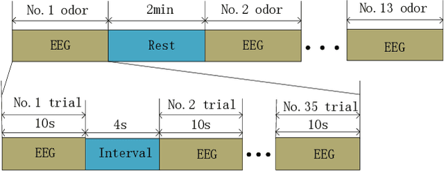 Figure 3 for An Olfactory EEG Signal Classification Network Based on Frequency Band Feature Extraction