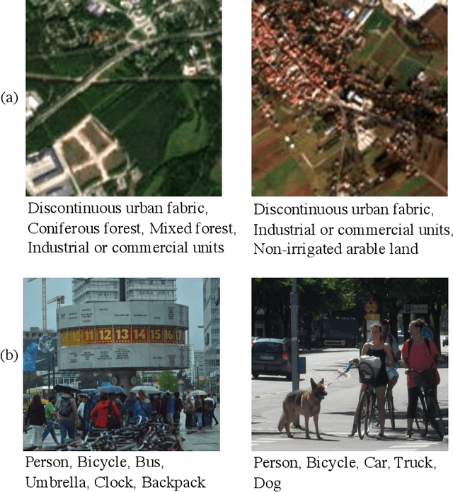 Figure 1 for CCML: A Novel Collaborative Learning Model for Classification of Remote Sensing Images with Noisy Multi-Labels