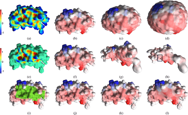Figure 2 for LMap: Shape-Preserving Local Mappings for Biomedical Visualization