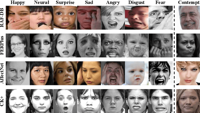 Figure 1 for Robust Facial Expression Recognition with Convolutional Visual Transformers