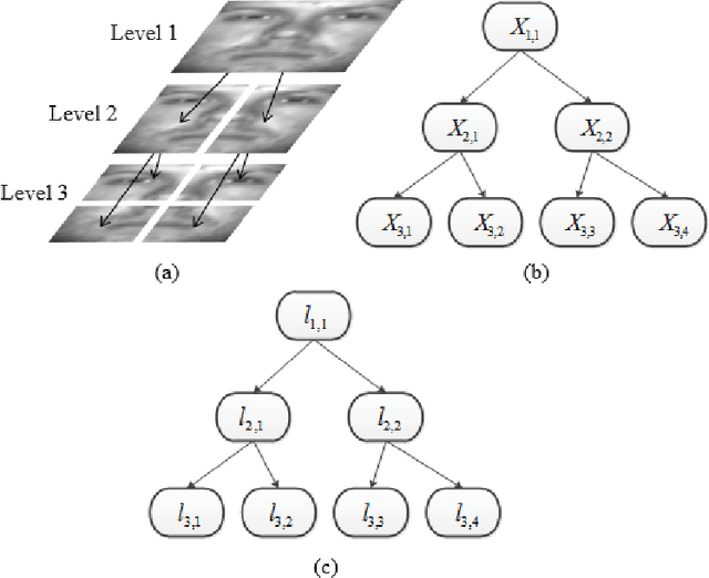 Figure 1 for Patch-based Face Recognition using a Hierarchical Multi-label Matcher
