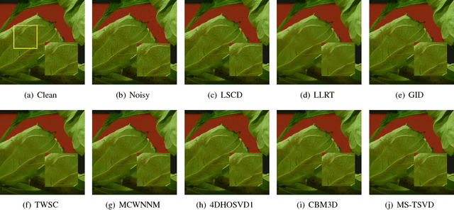 Figure 2 for A Brief Review of Real-World Color Image Denoising