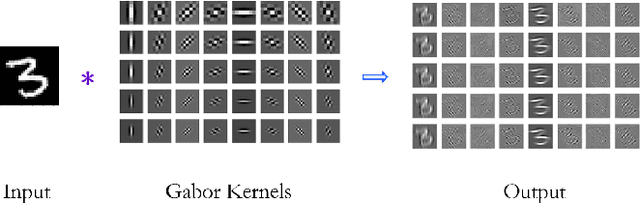 Figure 3 for Geometric Operator Convolutional Neural Network