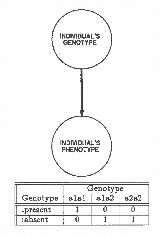 Figure 3 for Dynamic Construction of Belief Networks