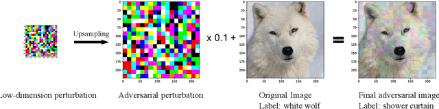 Figure 1 for Black-box Adversarial Attacks with Bayesian Optimization