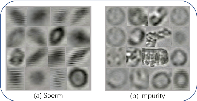 Figure 4 for A Comparison for Anti-noise Robustness of Deep Learning Classification Methods on a Tiny Object Image Dataset: from Convolutional Neural Network to Visual Transformer and Performer