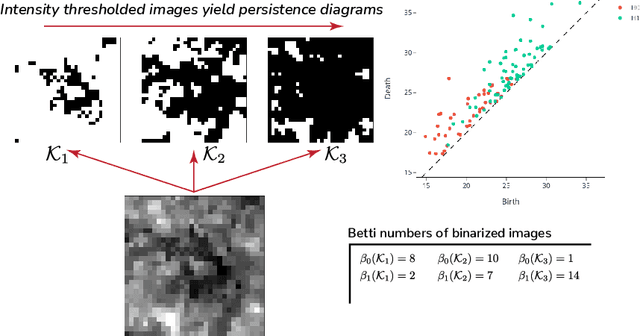 Figure 1 for Detection and hypothesis testing of features in extremely noisy image series using topological data analysis, with applications to nanoparticle videos