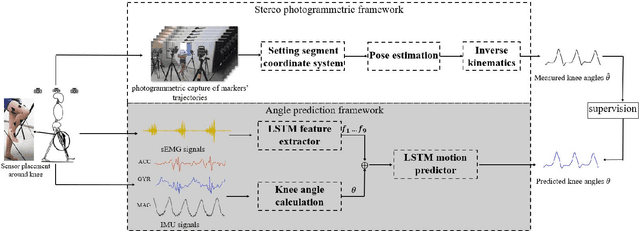 Figure 1 for Continuous Prediction of Lower-Limb Kinematics From Multi-Modal Biomedical Signals