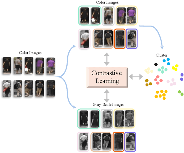 Figure 1 for Cluster-guided Asymmetric Contrastive Learning for Unsupervised Person Re-Identification