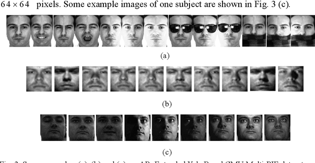 Figure 4 for Stable and Compact Face Recognition via Unlabeled Data Driven Sparse Representation-Based Classification