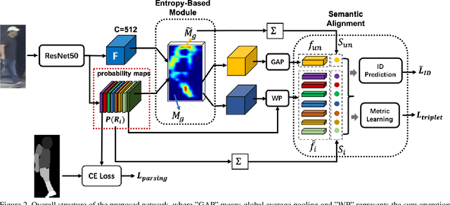 Figure 2 for ESA-ReID: Entropy-Based Semantic Feature Alignment for Person re-ID