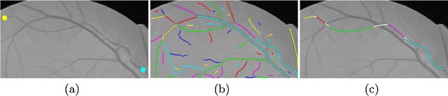 Figure 3 for Trajectory Grouping with Curvature Regularization for Tubular Structure Tracking