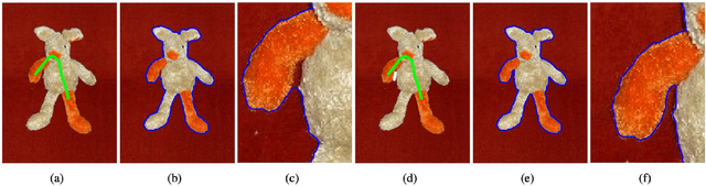 Figure 4 for Geodesic Paths for Image Segmentation with Implicit Region-based Homogeneity Enhancement