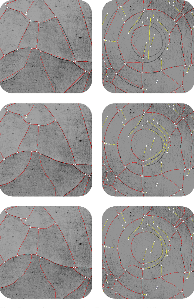 Figure 3 for "The cracks that wanted to be a graph": application of image processing and Graph Neural Networks to the description of craquelure patterns