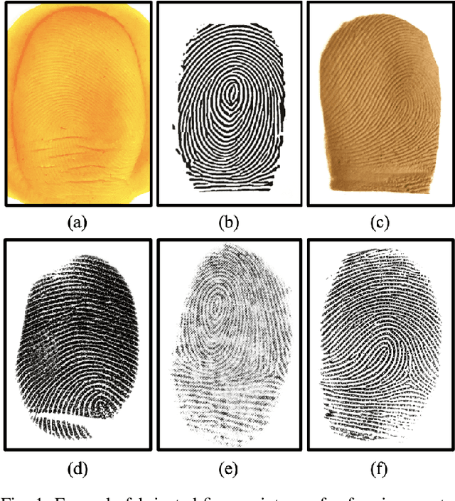 Figure 1 for SpoofGAN: Synthetic Fingerprint Spoof Images