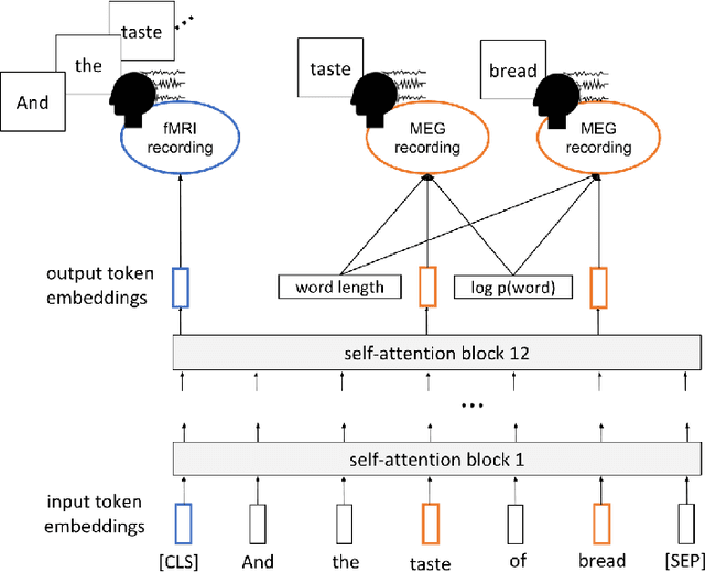 Figure 1 for Inducing brain-relevant bias in natural language processing models