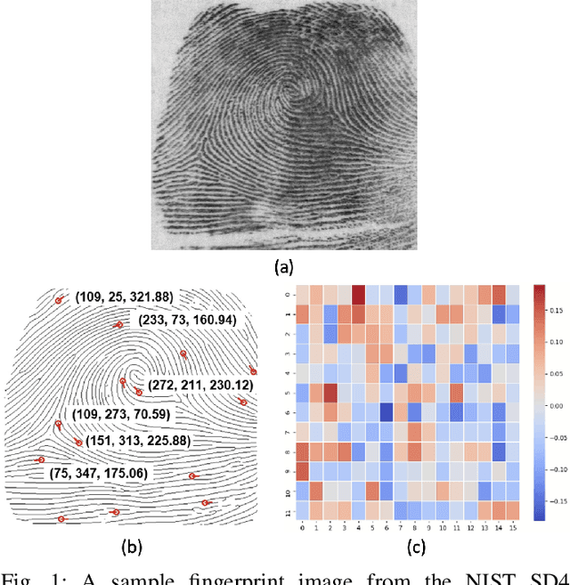Figure 1 for Fingerprint Template Invertibility: Minutiae vs. Deep Templates