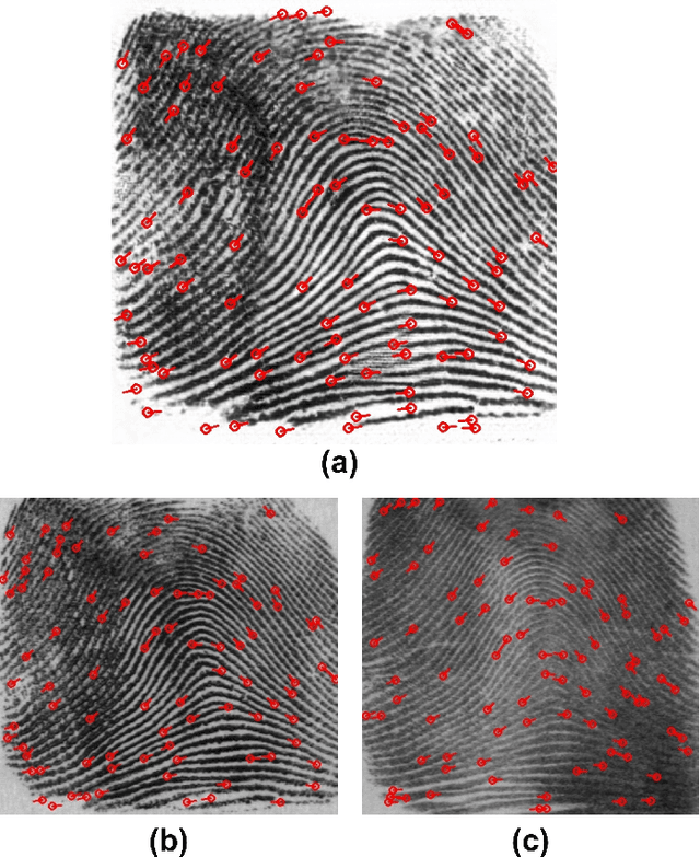 Figure 2 for Fingerprint Template Invertibility: Minutiae vs. Deep Templates