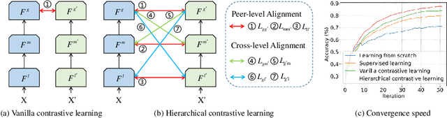 Figure 1 for HiCo: Hierarchical Contrastive Learning for Ultrasound Video Model Pretraining