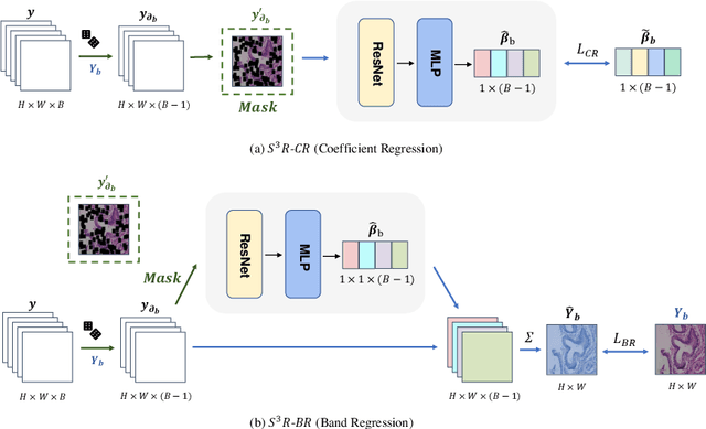 Figure 3 for S$^3$R: Self-supervised Spectral Regression for Hyperspectral Histopathology Image Classification