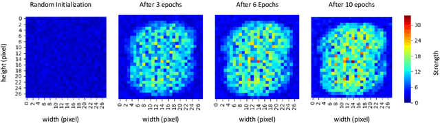 Figure 3 for Quick and Robust Feature Selection: the Strength of Energy-efficient Sparse Training for Autoencoders