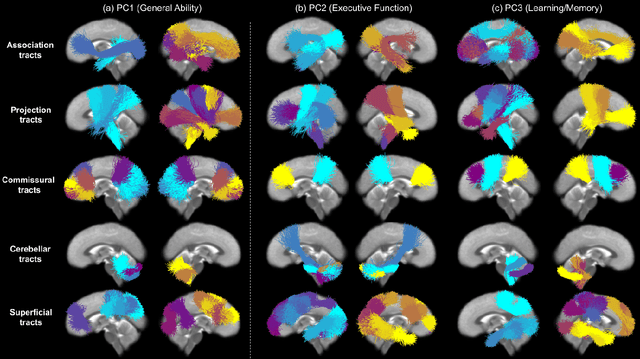 Figure 4 for A Novel Supervised Contrastive Regression Framework for Prediction of Neurocognitive Measures Using Multi-Site Harmonized Diffusion MRI Tractography