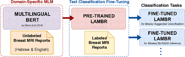 Figure 1 for Labeling of Multilingual Breast MRI Reports