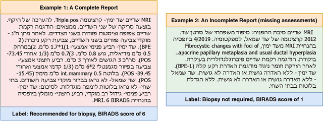Figure 3 for Labeling of Multilingual Breast MRI Reports