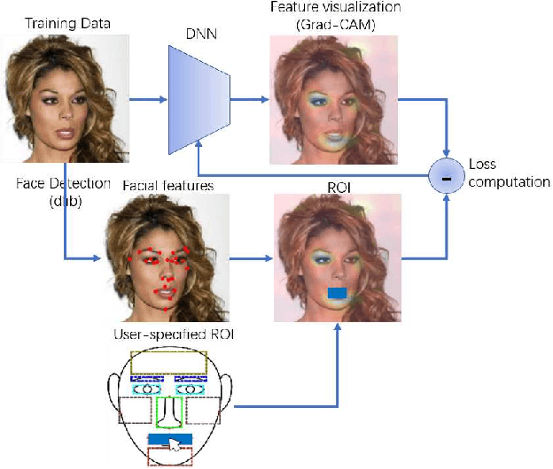Figure 3 for Directing DNNs Attention for Facial Attribution Classification using Gradient-weighted Class Activation Mapping