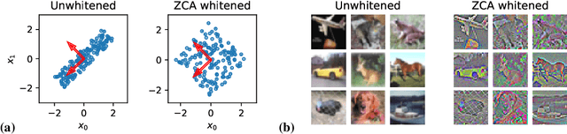 Figure 1 for Whitening and second order optimization both destroy information about the dataset, and can make generalization impossible