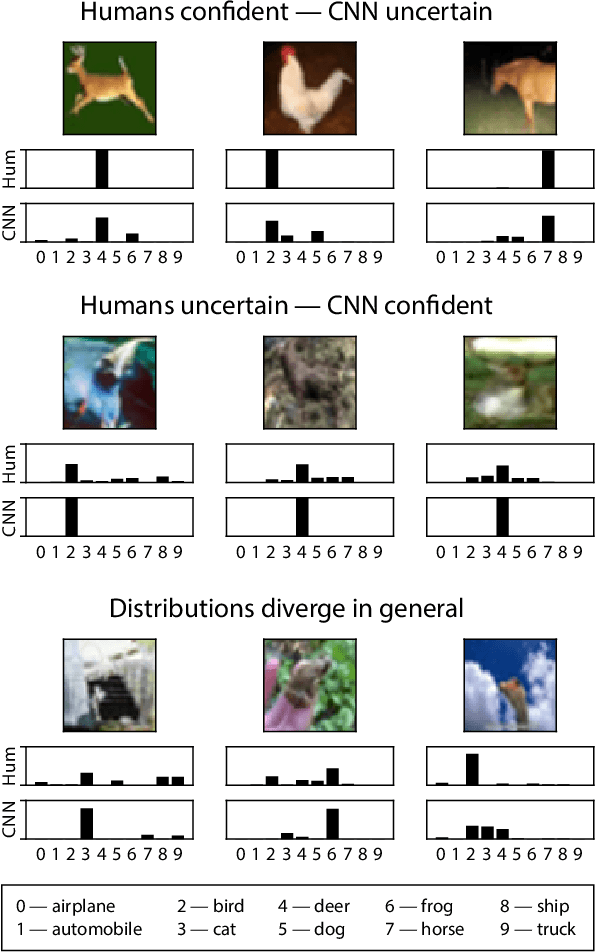 Figure 1 for Human uncertainty makes classification more robust