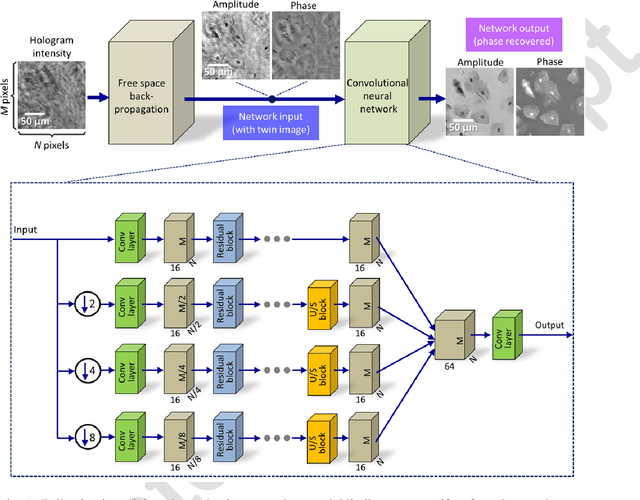 Figure 1 for Phase recovery and holographic image reconstruction using deep learning in neural networks