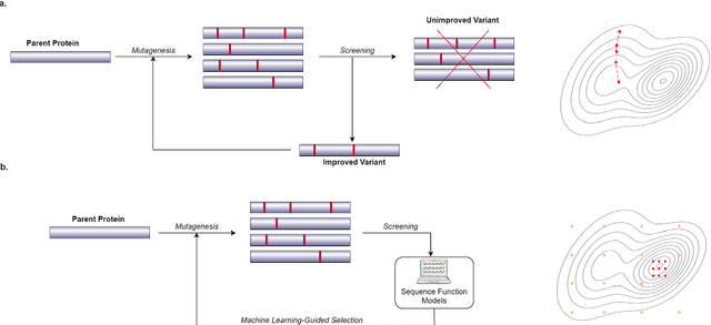 Figure 1 for Using Genetic Programming to Predict and Optimize Protein Function