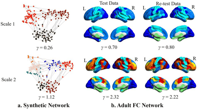 Figure 2 for Co-evolution of Functional Brain Network at Multiple Scales during Early Infancy