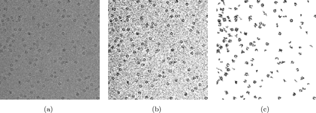 Figure 1 for Adaptive nonparametric detection in cryo-electron microscopy